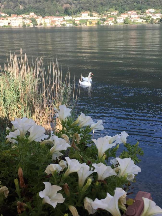 La Casa Dei Cigni Sul Lago D'Orta Omegna Dış mekan fotoğraf
